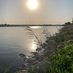 Meet your Posher, Marvin